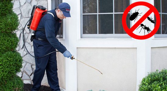 Nurdağı Kene İlaçlama böcek ilaçlama ve haşere kontrolü — ilaclama-tr.com